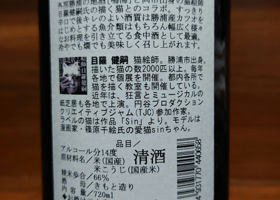 alt 3