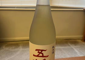 alt 1