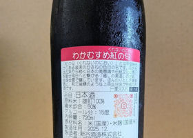 わかむすめ チェックイン 2
