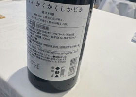 alt 3