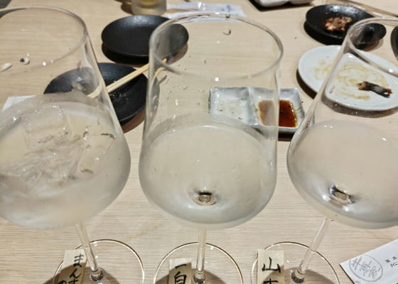 alt 1