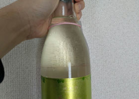 alt 2