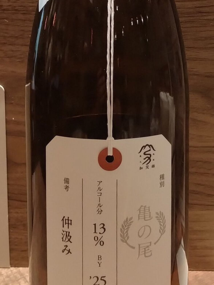 加茂錦 チェックイン 1