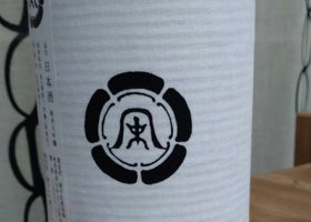 alt 3
