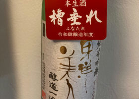 alt 1