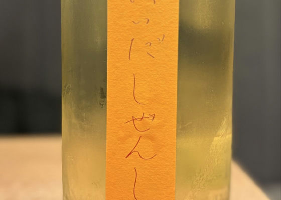 alt 1