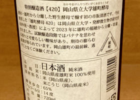 alt 2