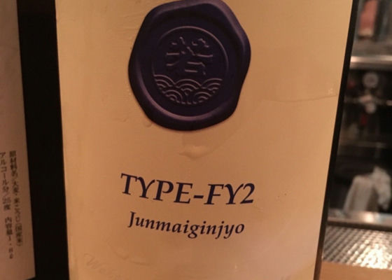 Type-FY2 チェックイン 1