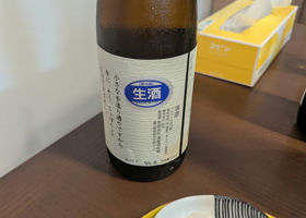 alt 3