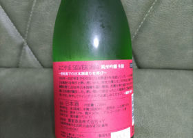alt 1