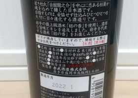 alt 3