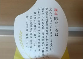 alt 3