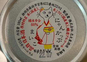 alt 3