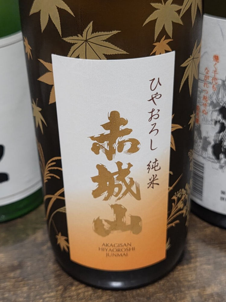 赤城山 チェックイン 1