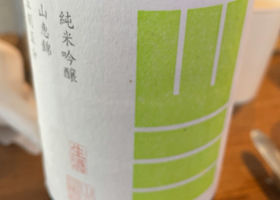 alt 1