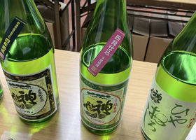 神亀 チェックイン 1