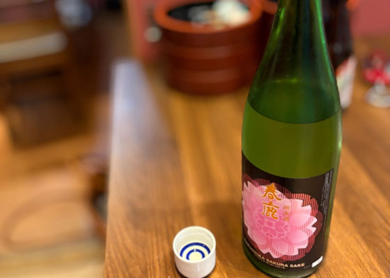 春鹿 チェックイン 1