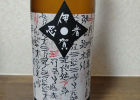 alt 3
