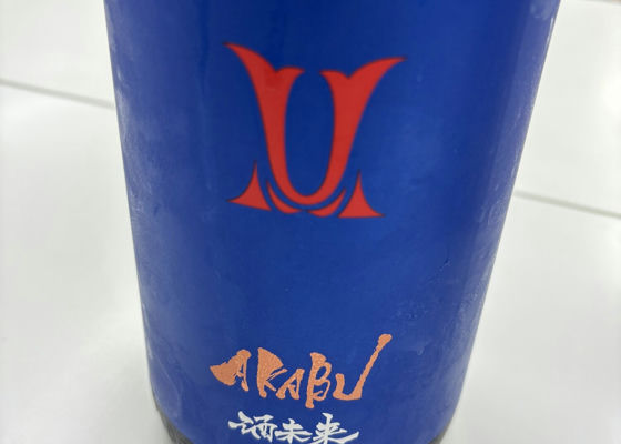alt 1