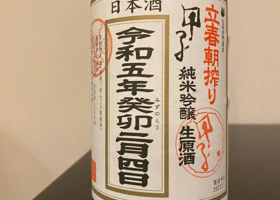 alt 1