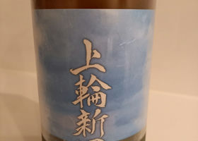 alt 1