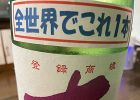 alt 1