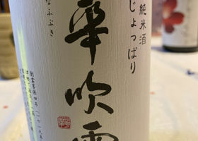 alt 1