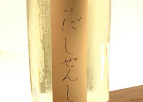 alt 1