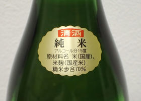 alt 3