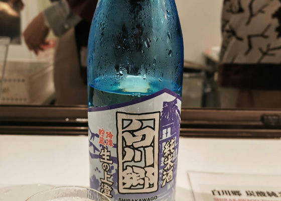 alt 1