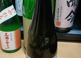 alt 1