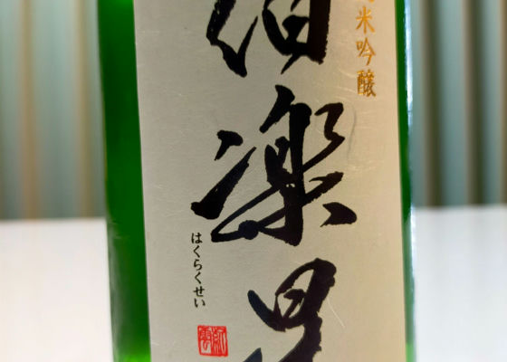 alt 1
