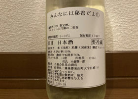 alt 2