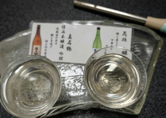 alt 1