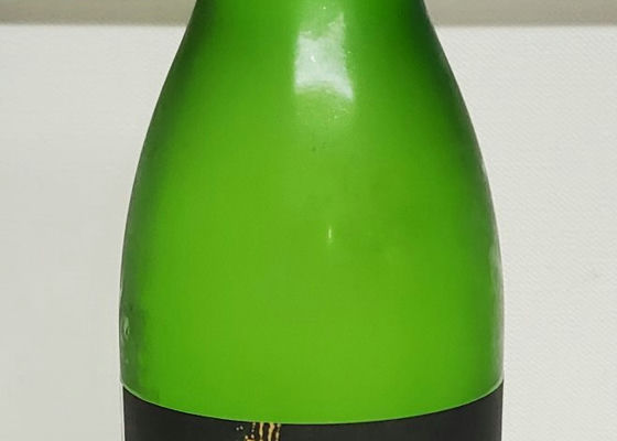 alt 1