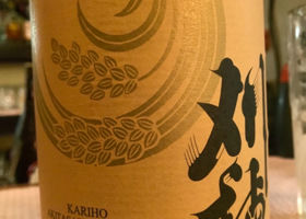 Kariho 签到 1