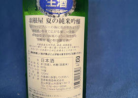 alt 2