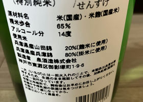 alt 3