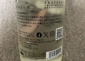 alt 2
