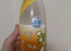 alt 2