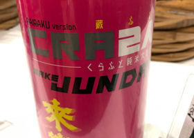 alt 1