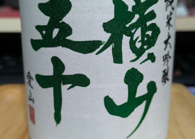 alt 1