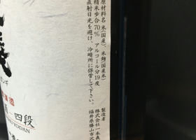 alt 3