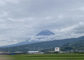 仙禽 チェックイン 4