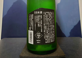 alt 2