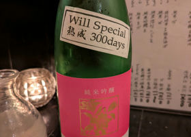 alt 1