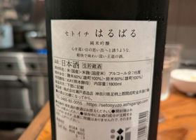 alt 2