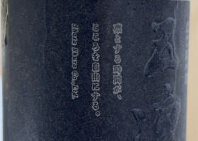 alt 3
