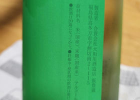 alt 1
