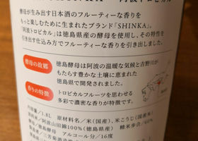 SHINKA 阿波トロピカル チェックイン 2